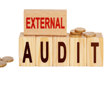 External Audit Services