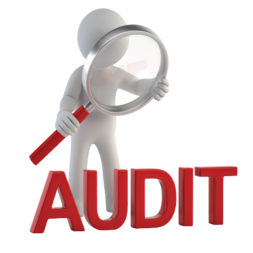 Compliance Audit Services